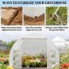 Tunnel greenhouse, greenhouse, planting room, white