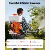 Backpack Fogger Sprayer, 63CC 3HP Engine, Gas Powered Fogger Sprayer with 4 Gallon Tank, Powder and Liquid Mister Duster System for Effective Fleas T